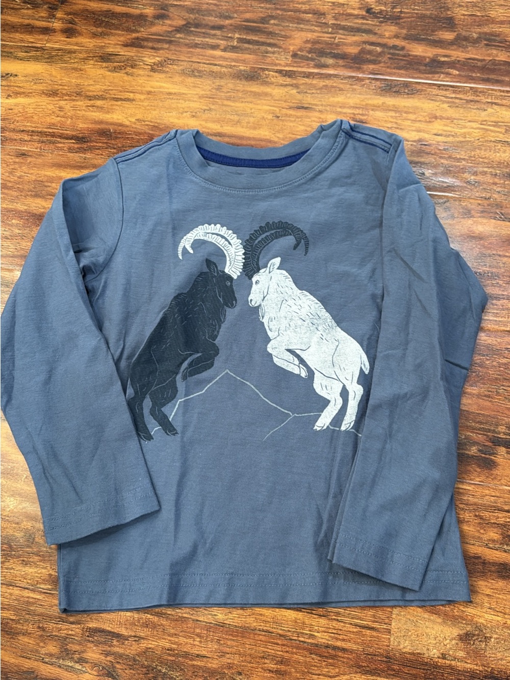 Boys' Long-Sleeve Tea Collection Mountain Goat Graphic Tee - Slate Blue